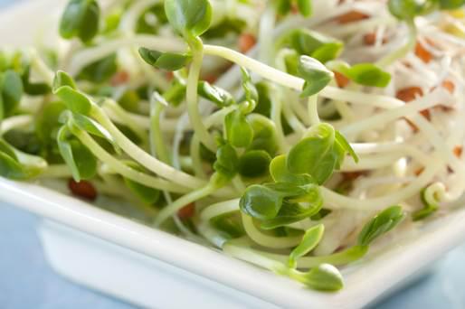 a pinch of salt*: cours de cuisine bio nouvelles dates