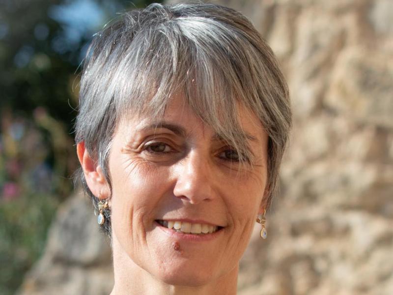 Soins, accompagnements et thérapies Séances de Clarification à distance (France - Belgique - Suisse)