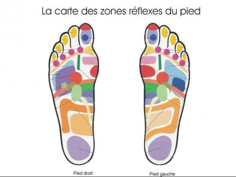 Formations, stages spécifiques, ateliers et séminaires Formation - Réflexologie Plantaire (pieds)