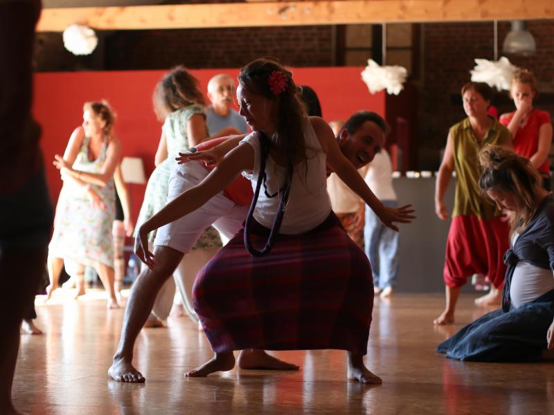 Formations, stages spécifiques, ateliers et séminaires Atelier en ligne - ANIMA® Danse libre du Vivant