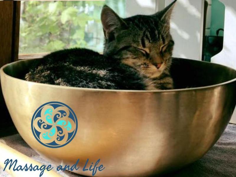 Soins, accompagnements et thérapies Soin Massage sonore - Massage and Life