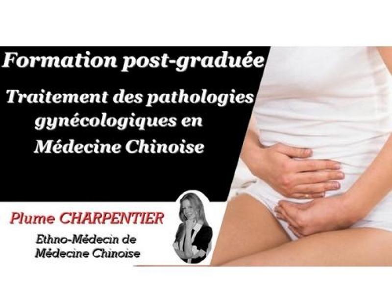 Formations, stages spécifiques, ateliers et séminaires Formation post-graduée : Traitement des pathologies gynécologiques en médecine chinoise