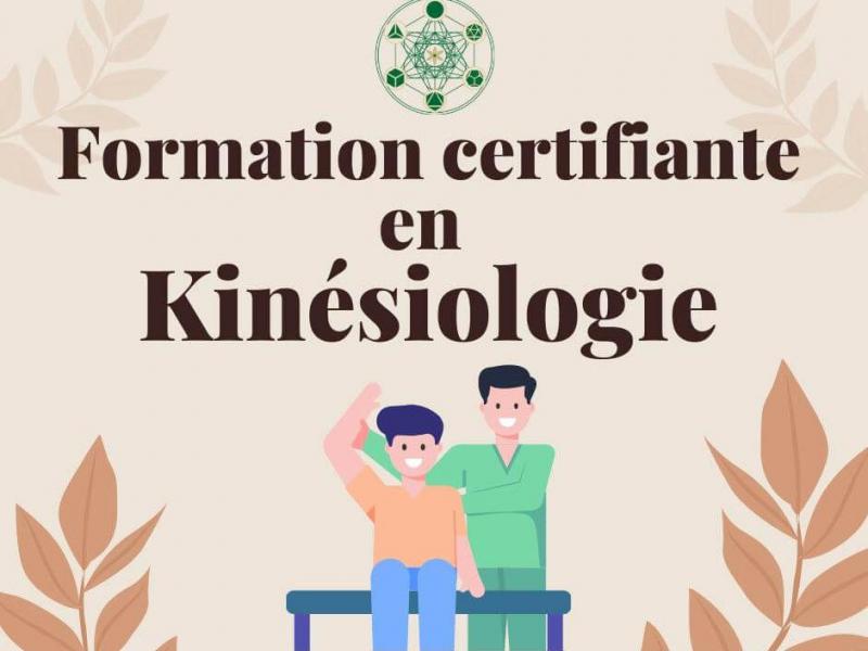 Formations, stages spécifiques, ateliers et séminaires Kinésiologie - Formation