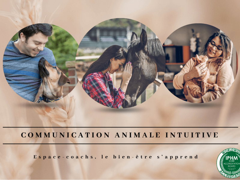 Formations, stages spécifiques, ateliers et séminaires Communication Animale Intuitive – Formation certifiante