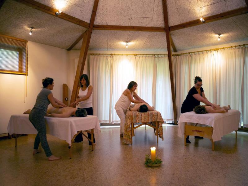 Formations, stages spécifiques, ateliers et séminaires Formation professionnelle de praticien en Massage Holistique®