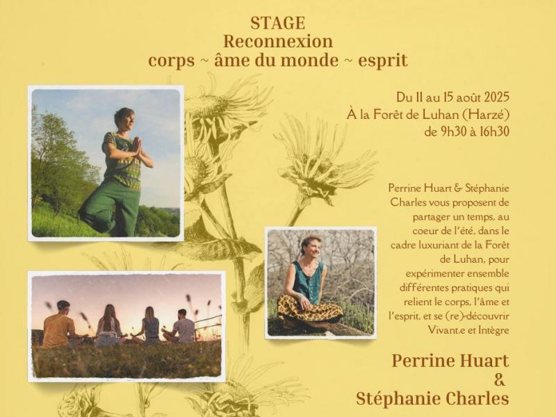 Formations, stages spécifiques, ateliers et séminaires Stage corps-âme du monde-esprit