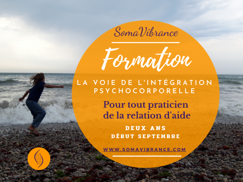 Formations, stages spécifiques, ateliers et séminaires Formation de 2 ans en Intégration psychocorporelle pour tout praticien de la relation d'aide